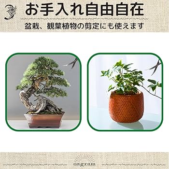 Amazon | ozgram 水草トリミングハサミ 観葉植物 盆栽 剪定